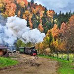 Maramures-si-bisericile-de-lemn--6749813421_2_big